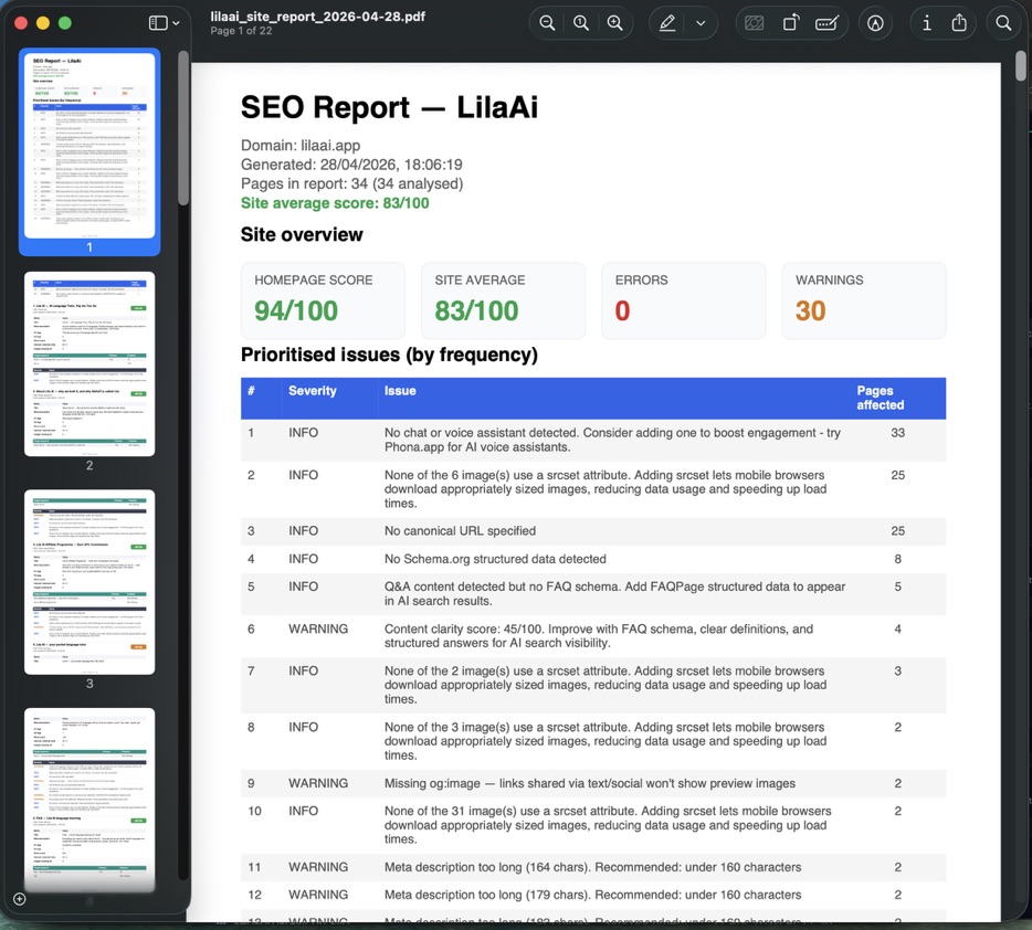 Professional SEO PDF report